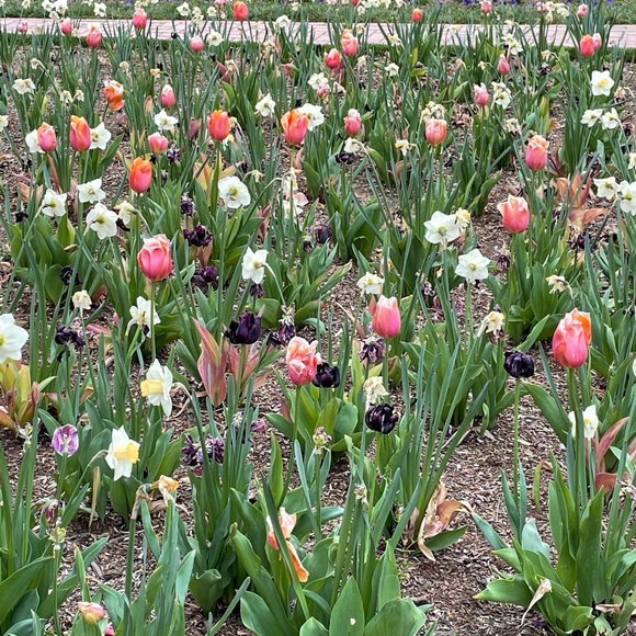 Meet your Posher, Joyce - Picture 3 of 12